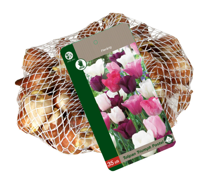 Grønne Fingre® tulipanløg 'Triumph Pastel' 35 stk.